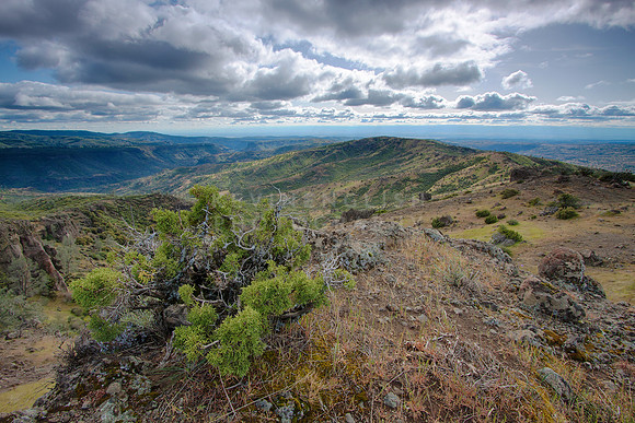 Early spring in Ishi Wilderness