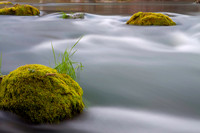 Putah Creek