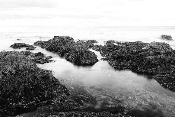 Misty shores
