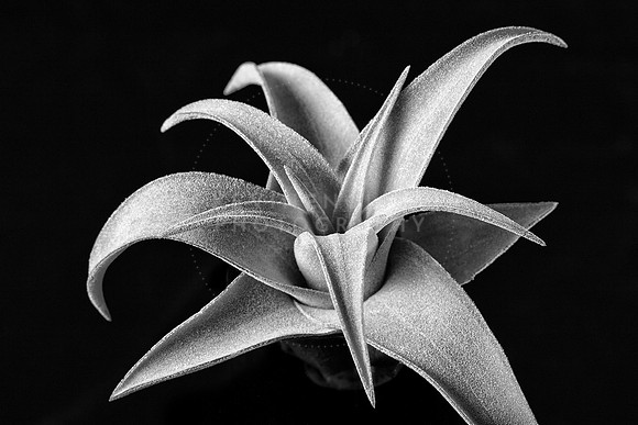 KEnglish-2017-02-25-3901-3-2