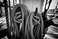 Cordage