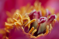 KEnglish-2011-04-11-5941