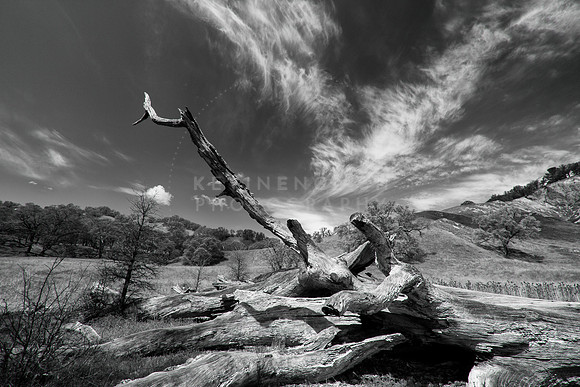 Cache Creek Wilderness