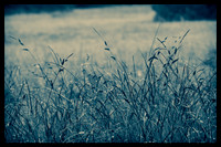 Winter's touch
