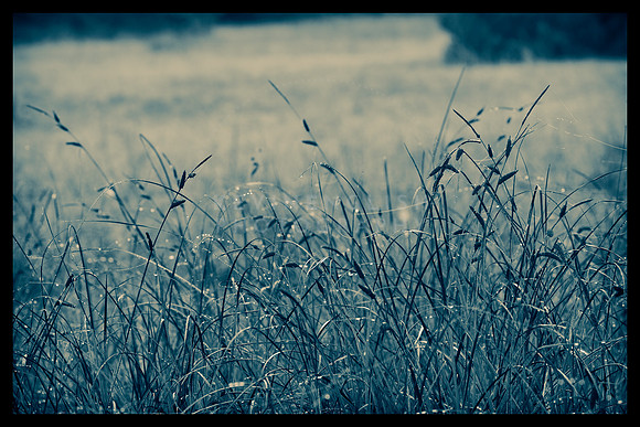 Winter's touch
