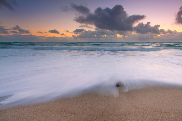 The Great Pacific
