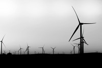Windless Sunset B&W