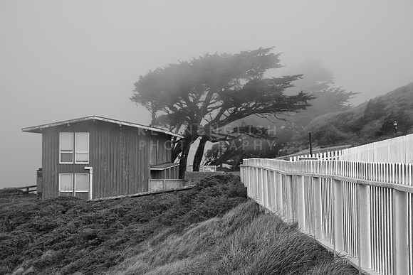 Pacific Winds