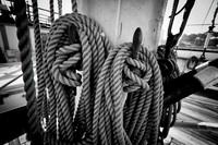 Cordage
