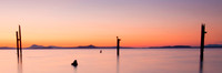 Pacific Northwest Glow