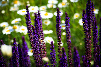KEnglish-2010-07-08-2001