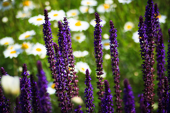 KEnglish-2010-07-08-2001