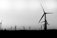 Windless Sunset B&W