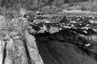 Winter along Cache Creek