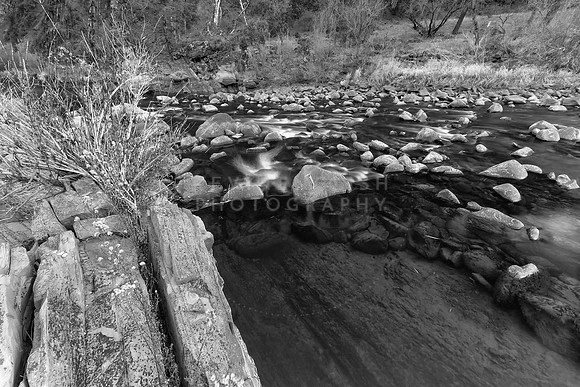 Winter along Cache Creek