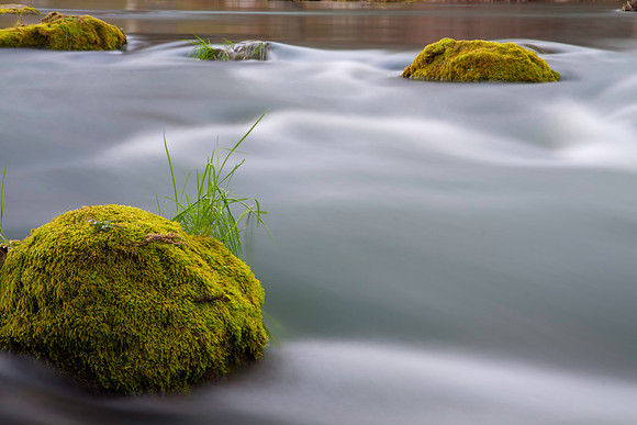 Putah Creek